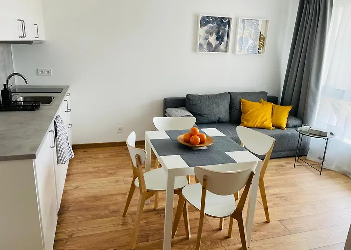 Foka - * Rowy (Pomerania)