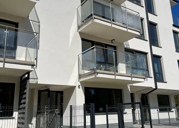 Foka - * Rowy (Pomerania)